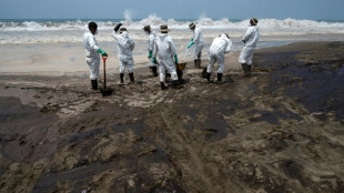 Mar&eacute;e noire au P&eacute;rou: le gouvernement double son estimation de p&eacute;trole d&eacute;vers&eacute;