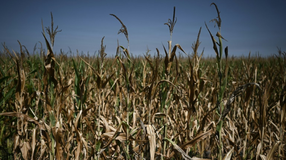 Nueva ola de calor en Francia y Espa&ntilde;a, con sequ&iacute;a en toda Europa