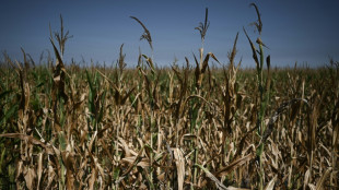 Nueva ola de calor en Francia y Espa&ntilde;a, con sequ&iacute;a en toda Europa