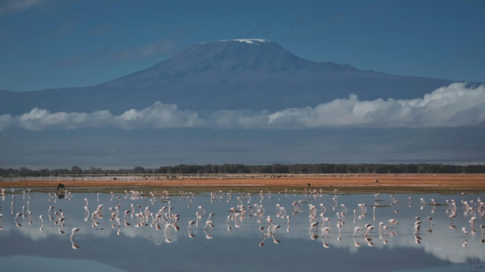 La Tanzanie d&eacute;ploie l'arm&eacute;e face &agrave; un feu sur le Kilimandjaro