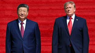 US-Botschafter: Trump bot Xi Verkauf von Waffen an China an