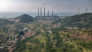 Major Indonesia coal plant back near capacity despite pollution concerns