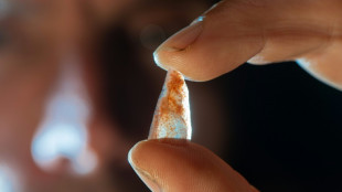 El Homo sapiens en Europa us&oacute; arcos y flechas hace 54.000 a&ntilde;os, seg&uacute;n estudio