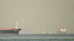 10 vessels attacked in Hormuz Strait: analysts