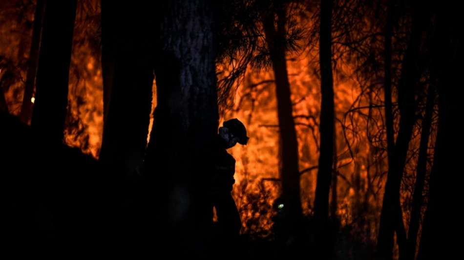 Reprise du feu de for&ecirc;t dans un parc naturel du centre du Portugal