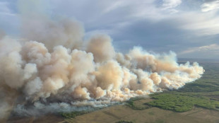 Miles de evacuados por voraces incendios forestales en el oeste de Canadá