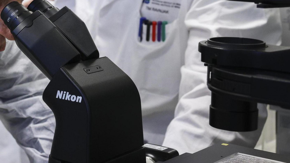 Nel nucleo delle cellule pori aperti come casse del supermarket