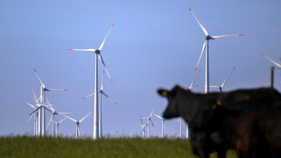 Moins de charbon et davantage d'éolien: l'Allemagne plus verte en 2023