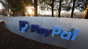 PayPal crolla del 12% a Wall Street su notizia ritiro offerta da Advent/Stripe