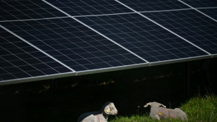 Chinese firms exit Romania solar tender after EU probe