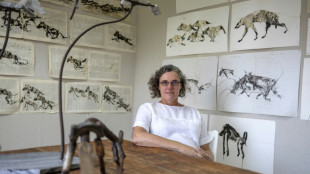 South African artist champions hyenas in 'eco-queer' quest