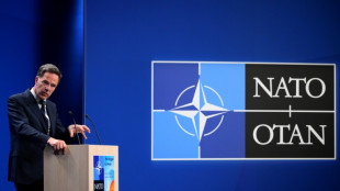 Otan, uma alian&ccedil;a de 32 pa&iacute;ses com grandes disparidades de gastos militares