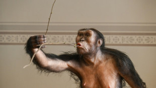 L'australopith&egrave;que Lucy, expos&eacute;e pour la premi&egrave;re fois au public &agrave; Prague