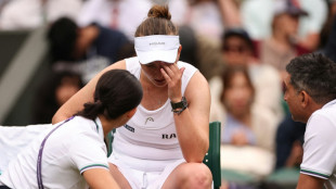 Aus f&uuml;r Rybakina - Tr&auml;nen bei Krejcikova