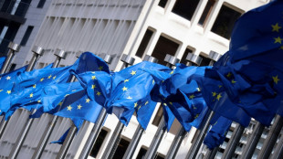 Ostausschuss: EU-Erweiterung muss aktiv angegangen werden