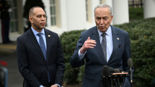 Democrats assail 'erratic' Trump over Iran strikes