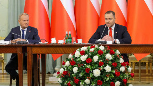 'Danni sa missile polacco, no drone russo', polemica a Varsavia