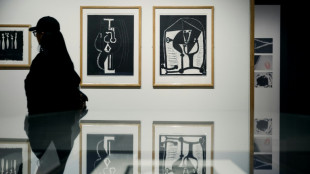 Museu Brit&acirc;nico mostra Picasso em uma faceta menos conhecida como gravador