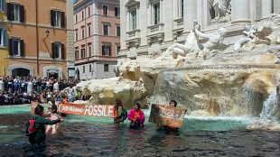 Ecologistas tingem de preto água da Fontana di Trevi em Roma
