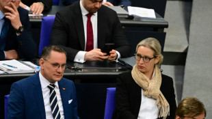 Umfrage: Unions-Kurs gegen&uuml;ber der AfD spaltet die Deutschen