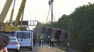 Zw&ouml;lf Tote bei Busunfall in Ungarn - F&uuml;nf Menschen in Lebensgefahr