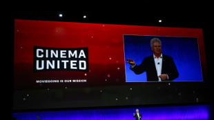 US movie theaters urge 45-day 'baseline' before films hit streaming