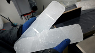 En un laboratorio de Bruselas, cient&iacute;ficos estudian hielo en busca de claves clim&aacute;ticas