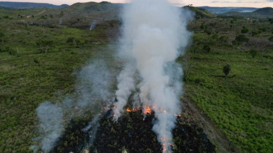 Panam&aacute; pedir&aacute; que la COP30 adopte acuerdos por mayor&iacute;a