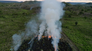 Panam&aacute; pedir&aacute; que la COP30 adopte acuerdos por mayor&iacute;a