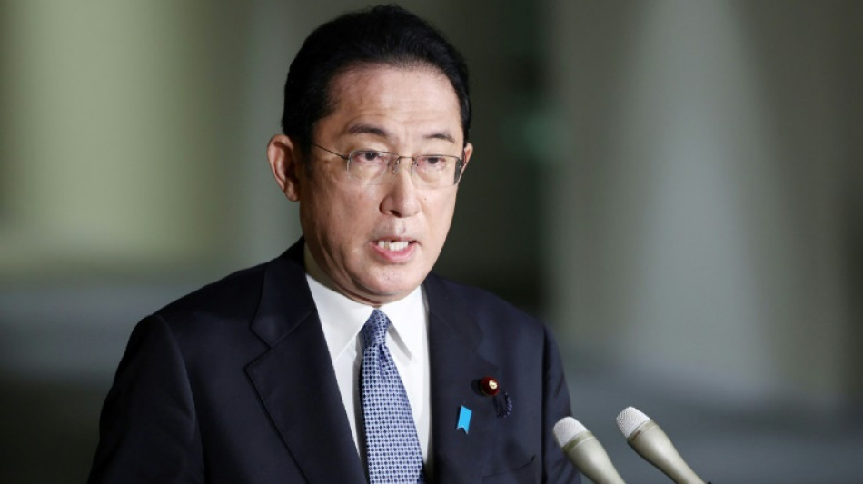 Jap&oacute;n apoya "firmemente" una soluci&oacute;n "negociada" a la crisis en Ucrania