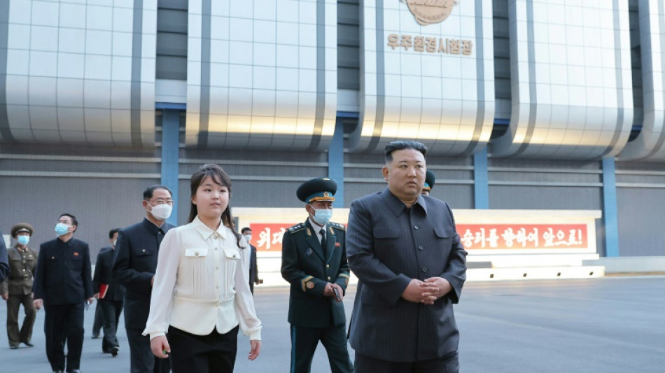 Nordkorea verk&uuml;ndet Fertigstellung seines ersten milit&auml;rischen Spionage-Satelliten