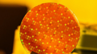 Corea del Sur marca un récord por exportación de semiconductores en agosto