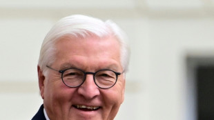 Steinmeier zu Privataudienz bei Papst Leo XIV.