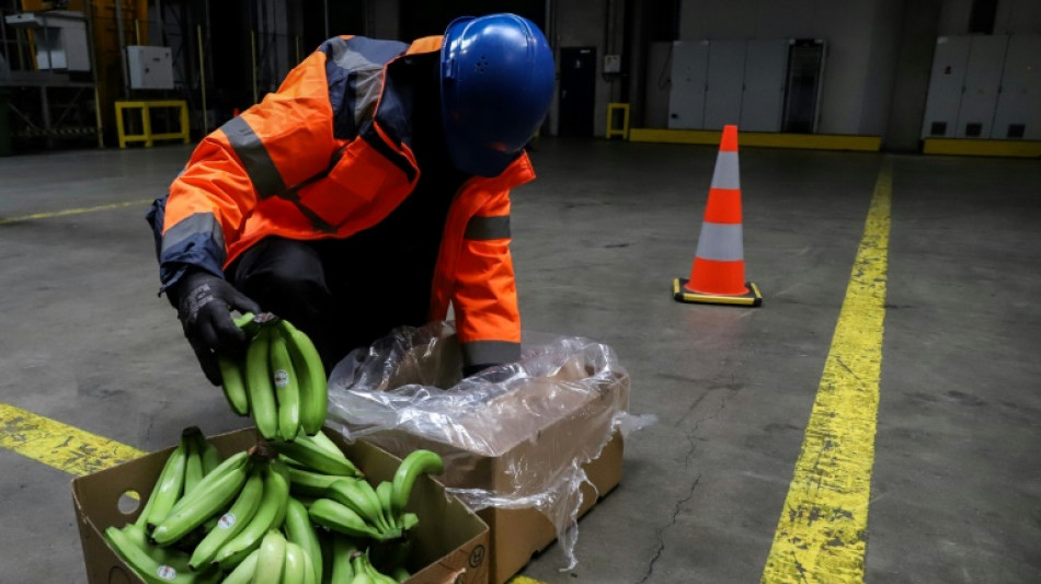 Pr&egrave;s de 110 tonnes de coca&iuml;ne saisies en 2022 dans le port d'Anvers, nouveau record