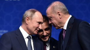 Erdogan quiere aprovechar crisis de Ucrania para cobrar impulso dentro y fuera de Turquía