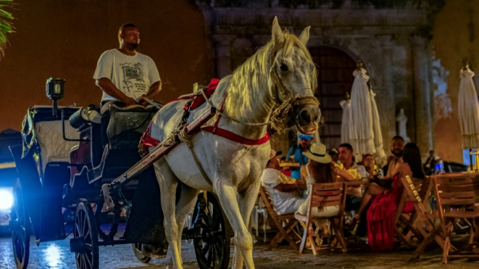 Col&ocirc;mbia pro&iacute;be carruagens com cavalos em Cartagena