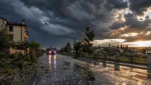 Temporali in Veneto, danni agricoli per decine di milioni nel Veronese