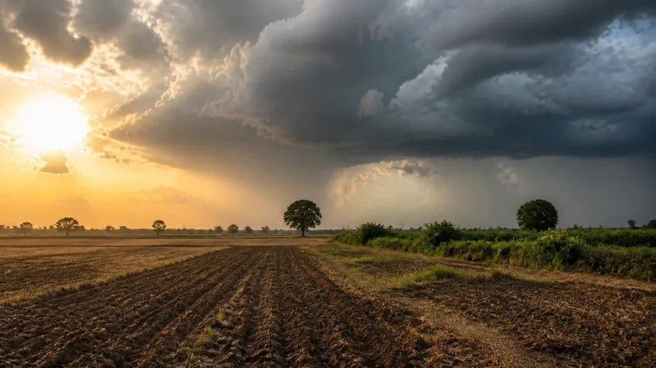 Odisha faces very heavy rain as Sri Ganganagar reaches 41.4C