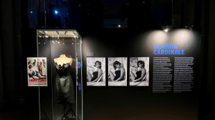 Al Museo del Cinema un vestito di scena di Claudia Cardinale