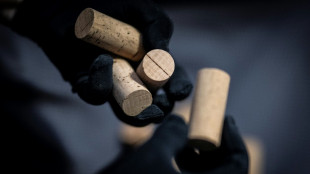 Le Portugal champion mondial du li&egrave;ge, mat&eacute;riau &eacute;cologique en qu&ecirc;te de nouveaux d&eacute;bouch&eacute;s