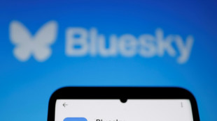 Bluesky, rival de X, institue une ic&ocirc;ne pour les comptes certifi&eacute;s