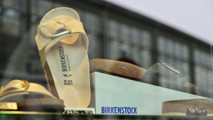 Birkenstock aims to raise up to $1.58 bn in IPO