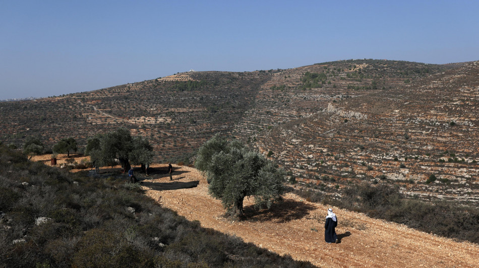 Farnesina, '5 attivisti italiani fermati in Cisgiordania, chiesto rilascio immediato'