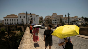 Climat: 2024 s'annonce comme une ann&eacute;e record, au-dessus de la barre d'1,5&deg;C de r&eacute;chauffement