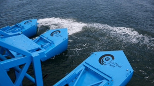 La energía del mar se convierte en electricidad en el puerto de Los Ángeles