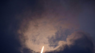 Puesto en &oacute;rbita con &eacute;xito el sat&eacute;lite europeo que medir&aacute; el carbono en los bosques