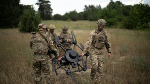 Ucrania pide apoyo "constante" tras anuncio de EEUU de suspensi&oacute;n de env&iacute;o de algunas armas