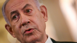 El canciller de Israel ve "factible" un acuerdo de tregua con Ham&aacute;s, pese a las divergencias