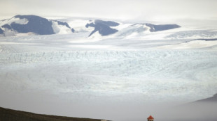 Las turberas &aacute;rticas se est&aacute;n expandiendo a causa del calentamiento global