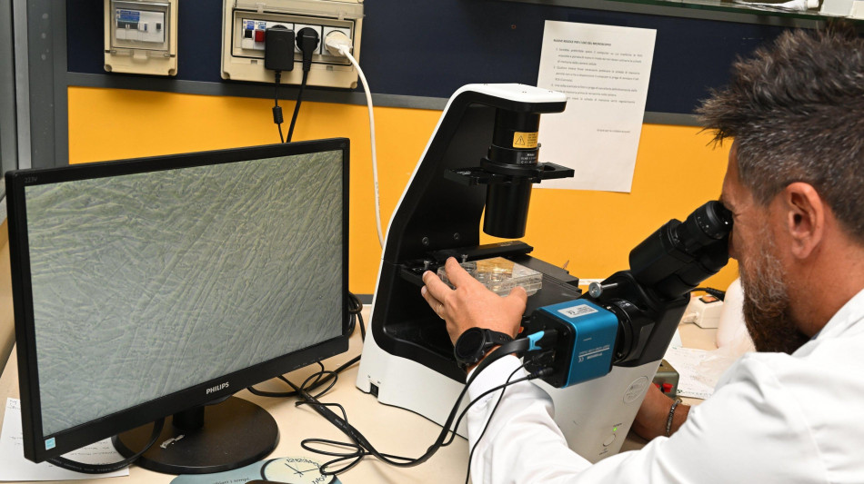 Ricercatori pi&ugrave; citati al mondo, l'Italia esce dalla top ten